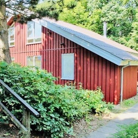 Komfort-Ferienhaus - Extertal Ferienpark - Entspannung, Natur, Wald, Familie #51 ภายนอก รูปภาพ